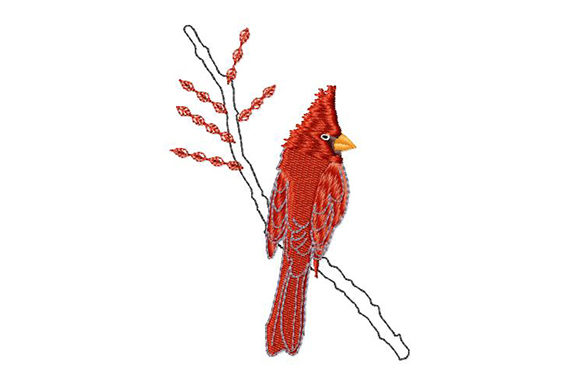 Christmas Red Cardinal Embroidery Review